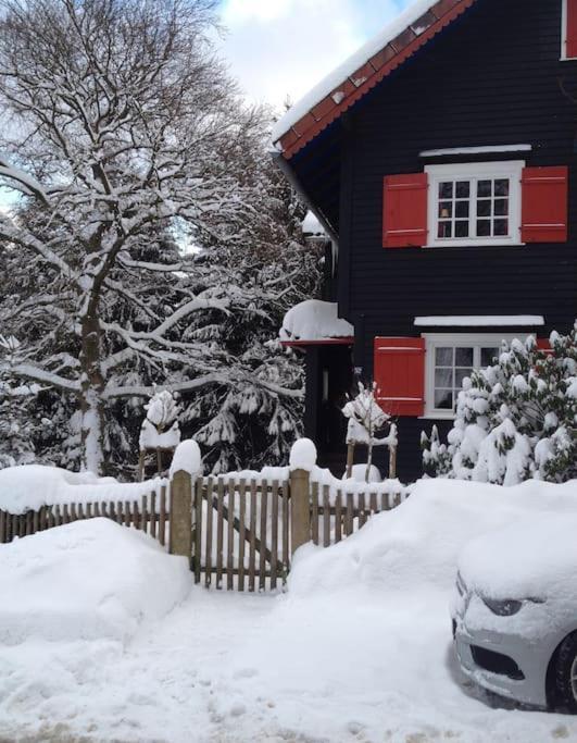 Villa Herzog - Ferienhaus Fuer 6 Personen In Braunlage, Harz Ngoại thất bức ảnh