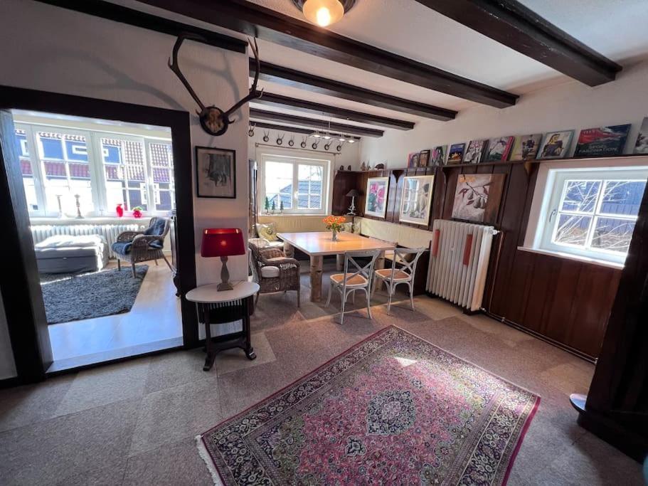 Villa Herzog - Ferienhaus Fuer 6 Personen In Braunlage, Harz Ngoại thất bức ảnh