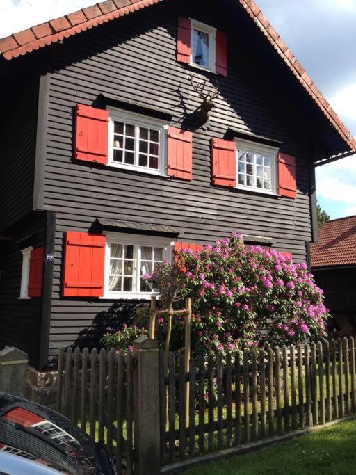 Villa Herzog - Ferienhaus Fuer 6 Personen In Braunlage, Harz Ngoại thất bức ảnh